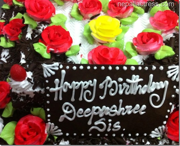 Deepa Shree Niraula Birthday  (7)